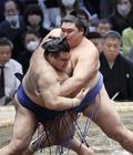高安、腰痛で春巡業を休場