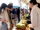 特産のサトイモを買い求める人でにぎわう会場＝南砺市寺家新屋敷のア・ミュー広場