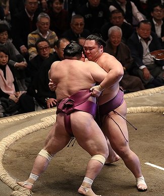 朝乃山勝ち越し、宝富士寄り切る　初場所１３日目