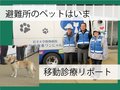 逃げて戻った飼いネコ、ストレス抱えたイヌ　能登半島地震、避難所のペットたち