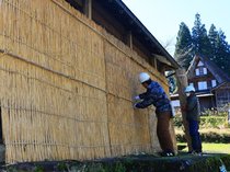 「オオダレ」設置作業始まる　南砺・相倉合掌造り集落、昔ながらの雪囲い