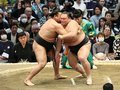 朝乃山 一気の寄り、大関霧島を圧倒　大相撲春場所４日目