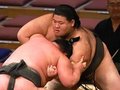 鶴英山（富山出身）千秋楽に優勝決定戦　大相撲序二段