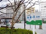 海抜0メートル以下の低地にある錦糸堀公園=東京都墨田区