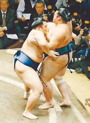 朝乃山万全４連勝　大相撲初場所４日目