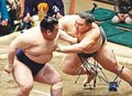 気を引き締め全勝ターン 朝乃山勝ち越し　「自分の中では通過点」