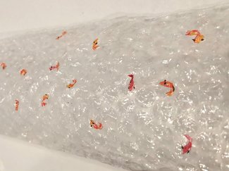 かわいいプチプチ作りました～！【やちやちが行く‼（102）】