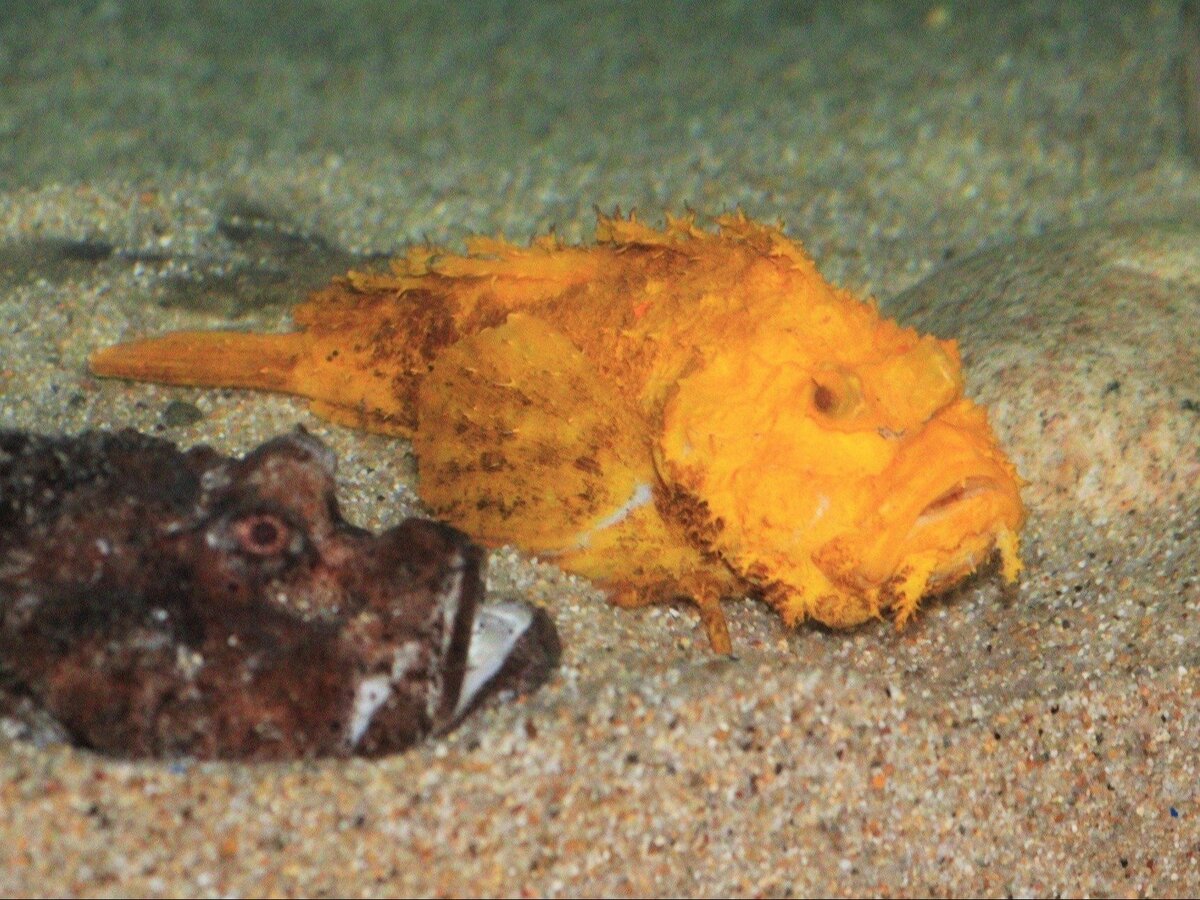 img_b6b4b9fecf4f836eb8bebeeb11