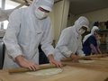 八尾産の粉使いそば打ち　富山・中央農高生、５人前作りに挑戦