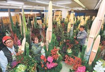 明るい気持ちで新年を　高岡で門松出荷本格化