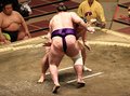 朝乃山 栃ノ心下す　初場所５日目