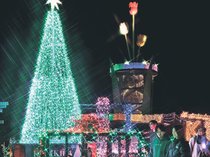 １０万球、幻想の光　砺波チューリップ公園、点灯イベント始まる