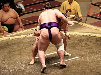 朝乃山 栃ノ心下す　初場所５日目