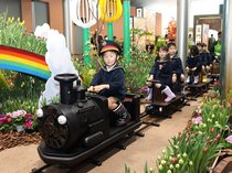 １万２千本、一足早い春演出　砺波・四季彩館でチューリップ展