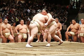 朝乃山横審総見に参加　安美錦らと激しい申し合い