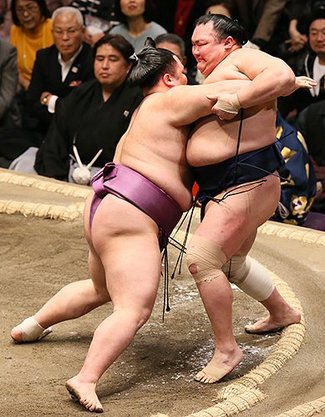 朝乃山、北勝富士寄り切る　初場所７日目