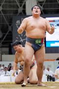 相撲成年個人は杉本弘樹が優勝