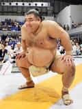 ３５歳の小結高安、若手と好内容