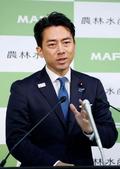 小泉氏、８０年見解論評せず