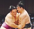 朝乃山集中、慌てず反撃