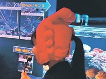 若者目線で水族館紹介　魚津高生が一日ガイド