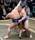 大の里３連勝、豊昇龍は初黒星