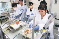 ＜バイオ立県への道～とやま医薬品産業～（５）＞人材育成（下）<br />実習施設は県外頼み　講座３年間で実績必要
