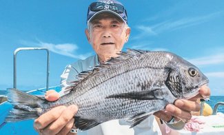 釣果はいけん<br />クロダイ体長５０センチ　追野英志さん（７８）富山市豊田本町