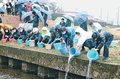 育てた稚魚、元気でね　舟橋小児童がサケとサクラマス放流