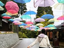 「ゆのくにの森」で、たくさん体験しました！