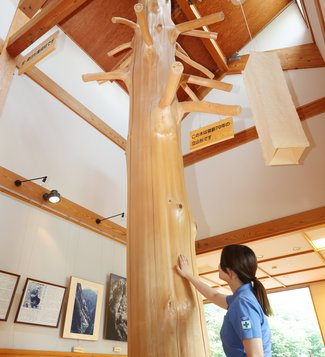 いろんな木に囲まれほっこり　【サっぱり湯ったり＋（プラス）】２０　とちの湯（黒部市宇奈月温泉）