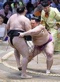 朝乃山、竜電寄り切り４勝目　名古屋場所９日目