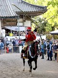 やんさんま、勇ましく　射水・下村加茂神社