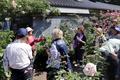 里山のバラ園、閉園惜しむ