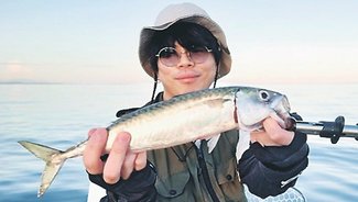釣果はいけん<br />サバ体長３５センチ　村田健一郎さん（２５）大阪市