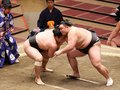 朝乃山、霧馬山に敗れる　春場所７日目