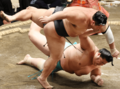 頑張れ朝乃山 三役復帰へ何勝必要？