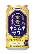 サワーの味わいの発泡酒