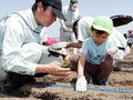 ヒマワリ咲いてね　富山の月岡幼稚園と保育所の園児、笑顔で種まき