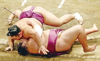 朝乃山、友風破り１０勝目　秋場所１４日目