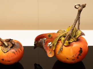 最後は干し柿を作りたい <br />木彫家・岩崎努さんインタビュー（後編）