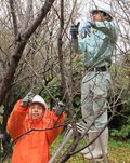 ウメの剪定、合同で実習　小矢部園芸高生と中央農高生