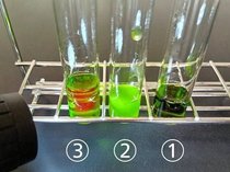 科学マジック～緑色の液体が赤く光った…!?～