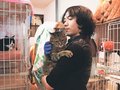火災被害の保護猫「家族になって」　高岡で２２日譲渡会