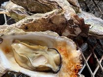 ゼロニイ＋おすすめ！今週末の富山おでかけスポット(3/5up)