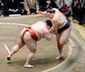 大相撲、２敗で首位５人の混戦