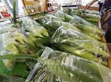 「秋川ファーマーズセンター」に並ぶ新鮮なトウモロコシ=東京都あきる野市
