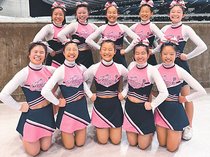 パピーズ最高賞　全日本高校チア、エキシビション中高混成