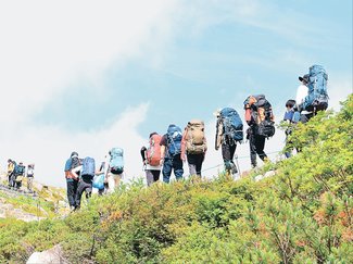 よろずご指南 生き方アドバイス<br />心身の不調で退職 将来が不安