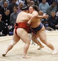 朝乃山６勝目、大奄美寄り切る　九州場所千秋楽　